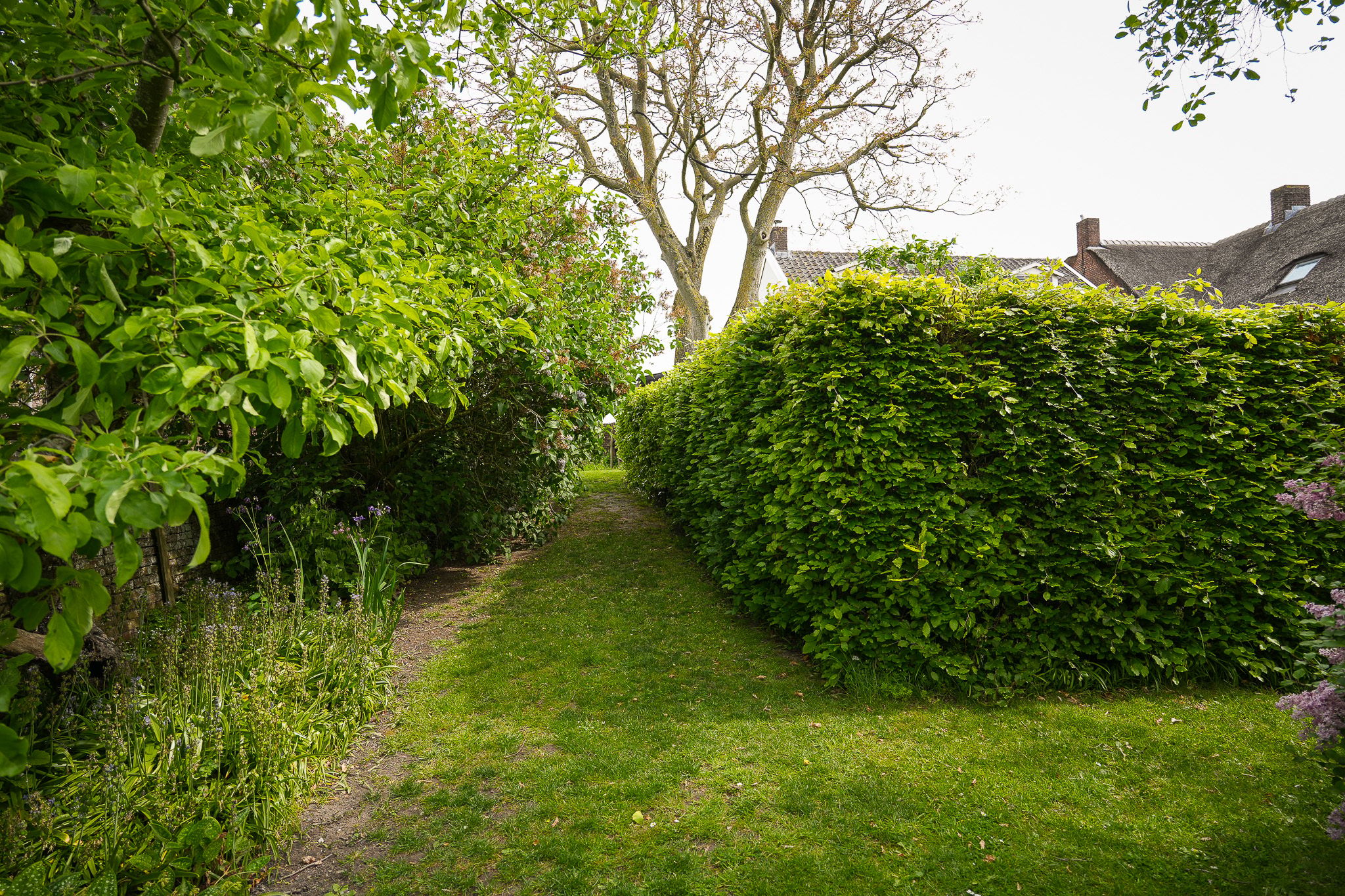 Photo 54 of Lingedijk 76