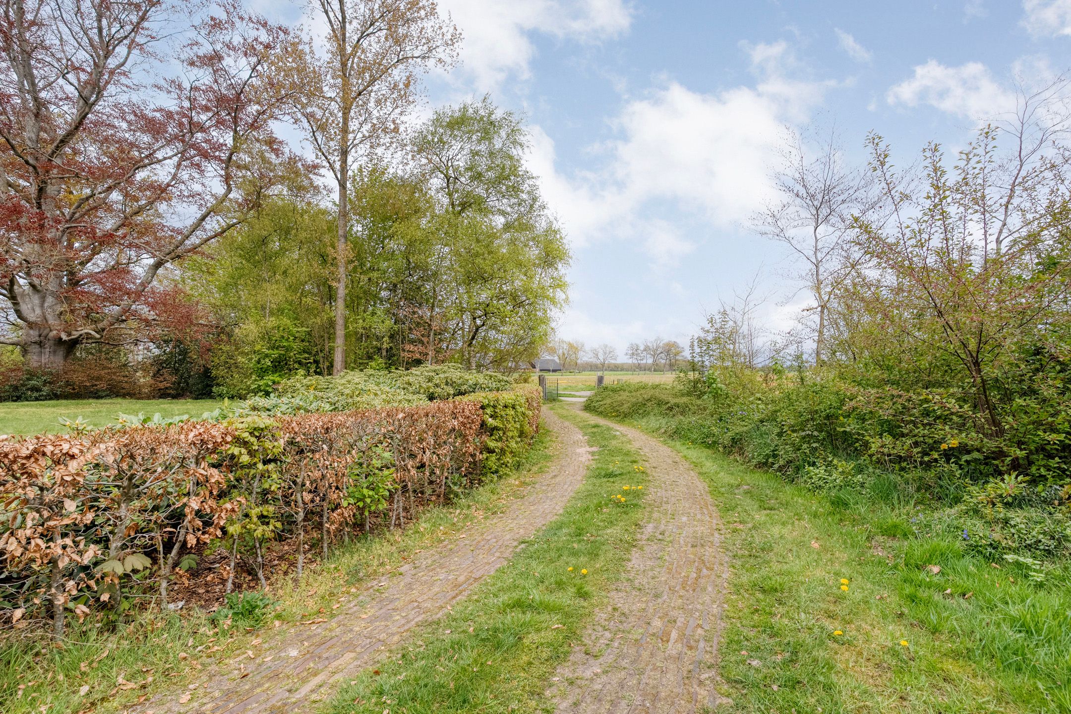 Photo 60 of Stapelerweg 8