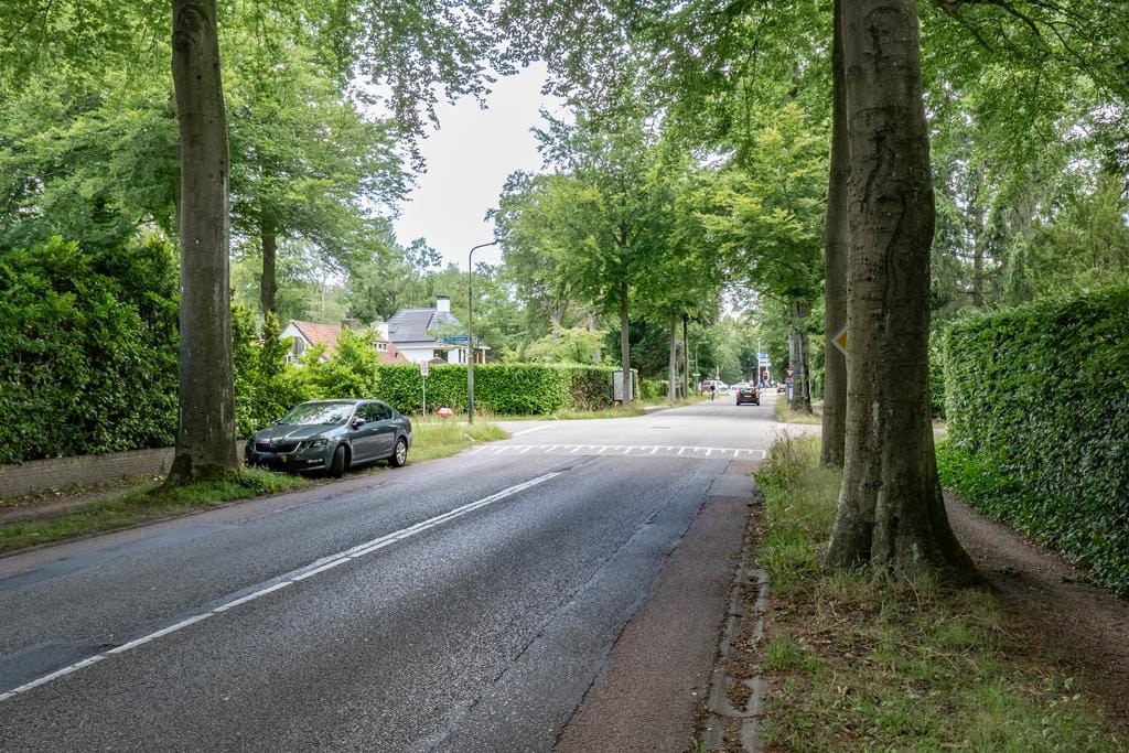 Foto 55 van Gezichtslaan 93