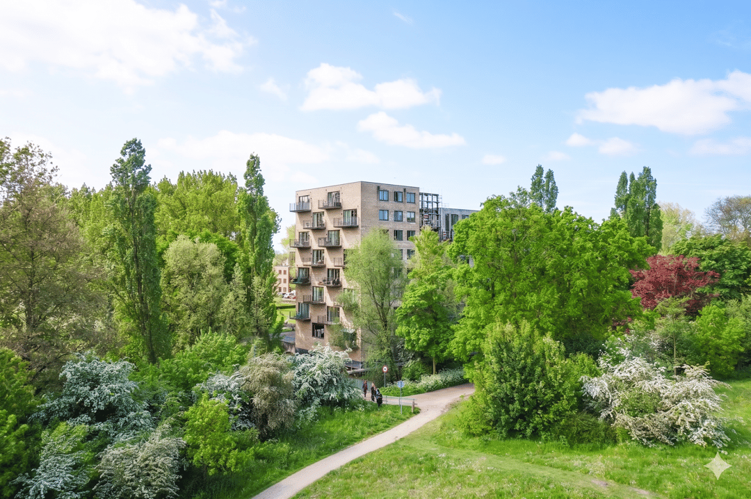 Photo 16 of Tuinderspad 136