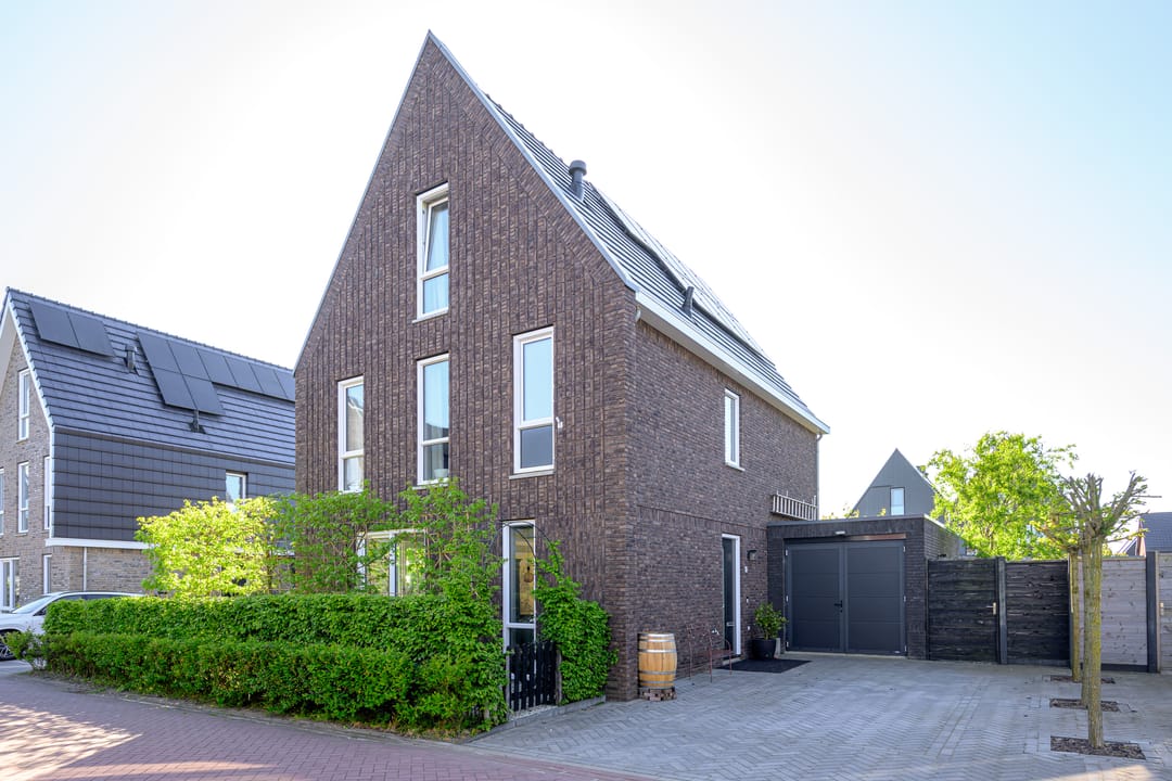 Foto 1 van Hondshaai 8