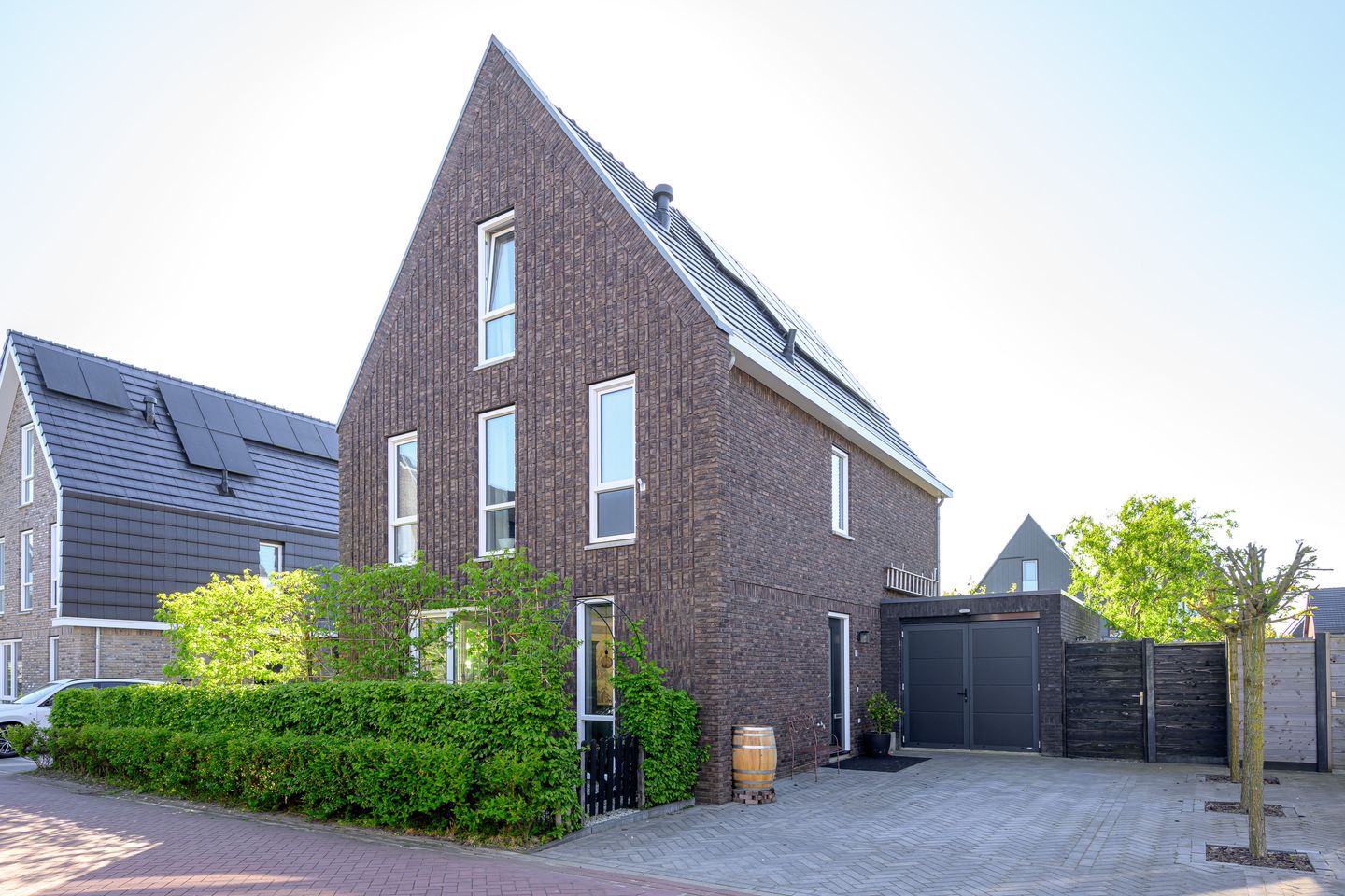 Foto 1 van Hondshaai 8