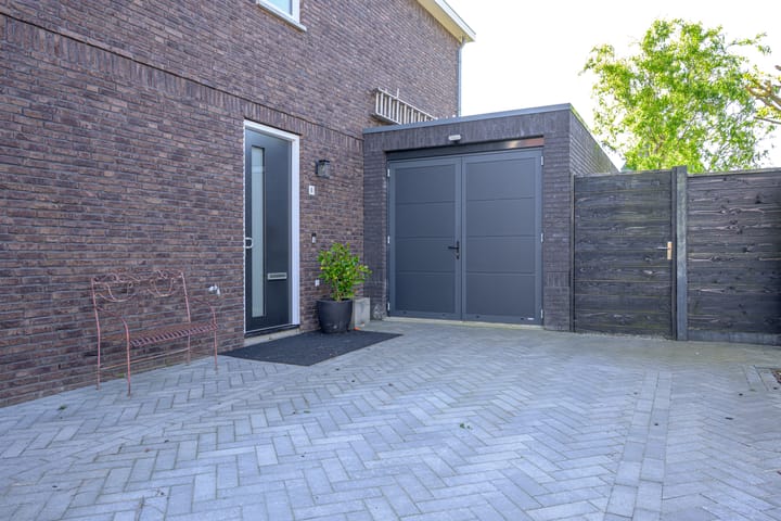 Foto 3 van Hondshaai 8