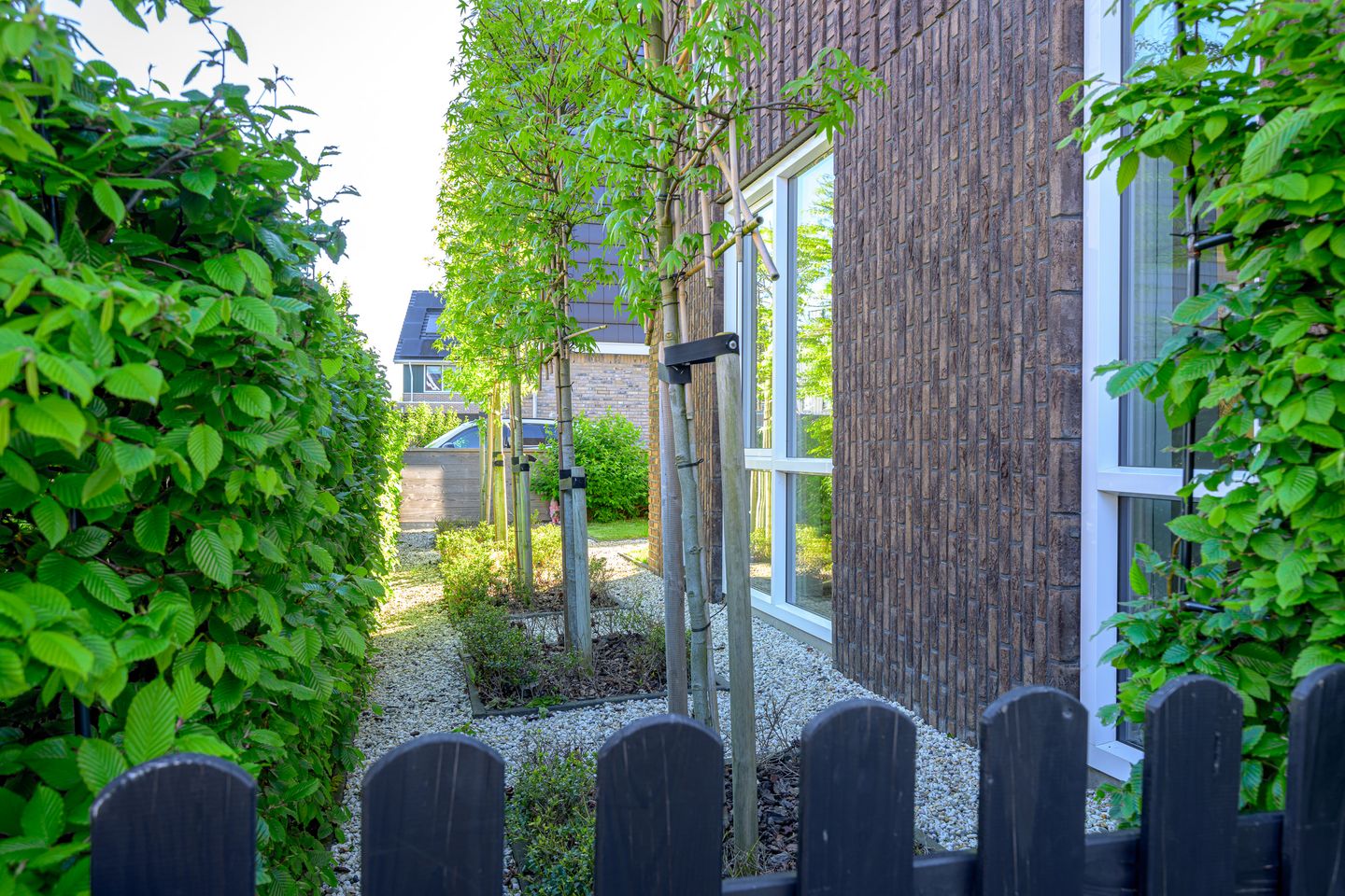 Foto 44 van Hondshaai 8