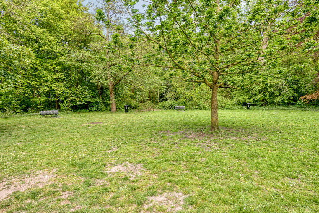 Photo 26 of Lindenlaan 120