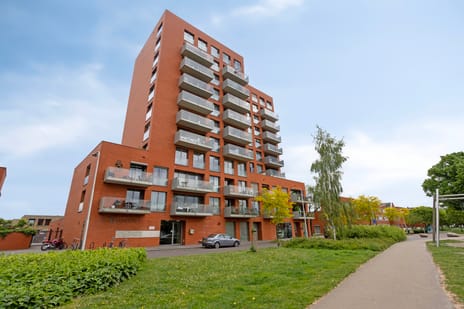 Sint Pieterspark thumbnail