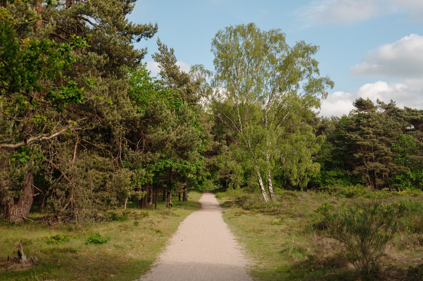 Photo 59 of Crailoseweg 36