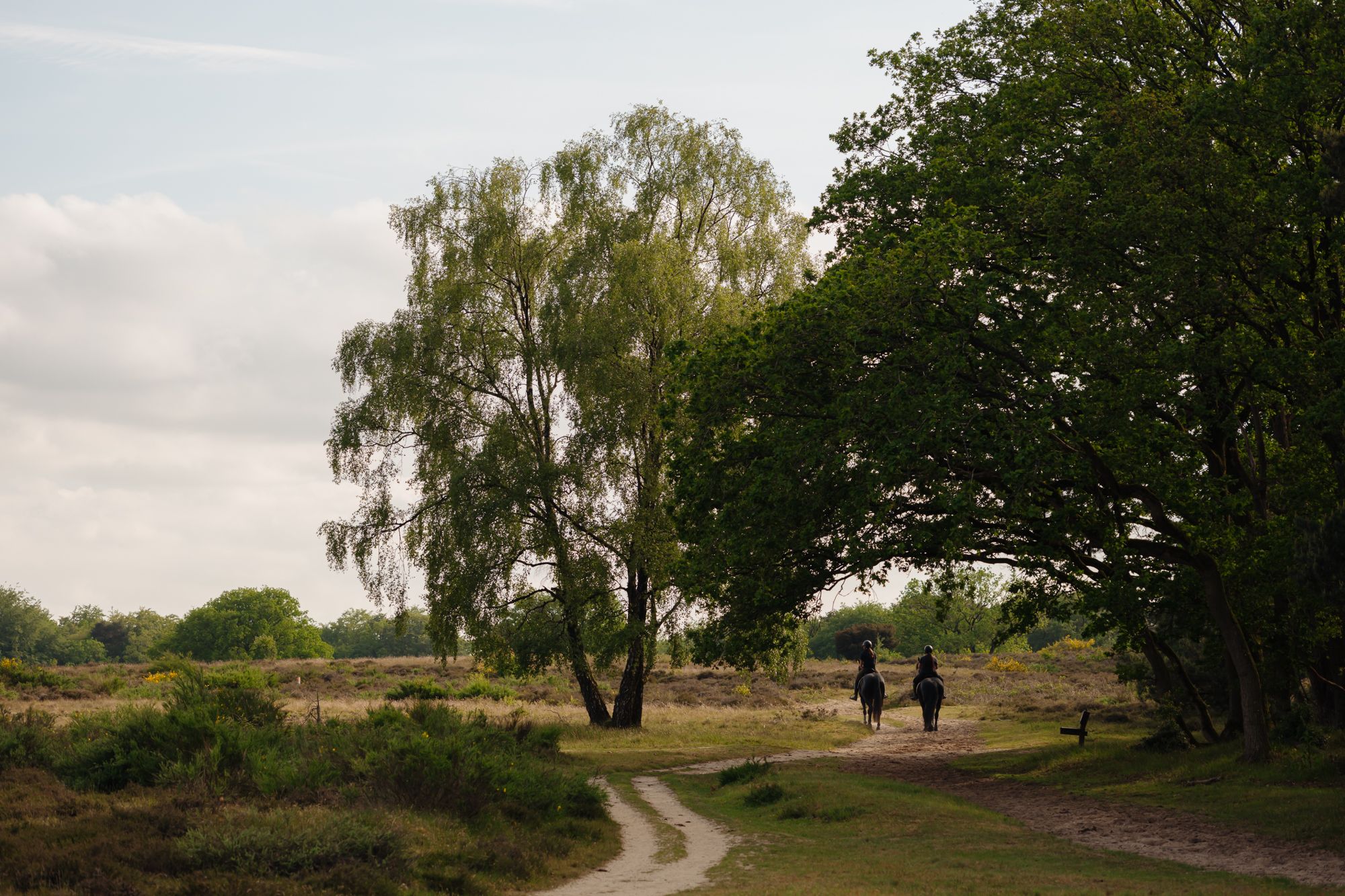 Photo 60 of Crailoseweg 36