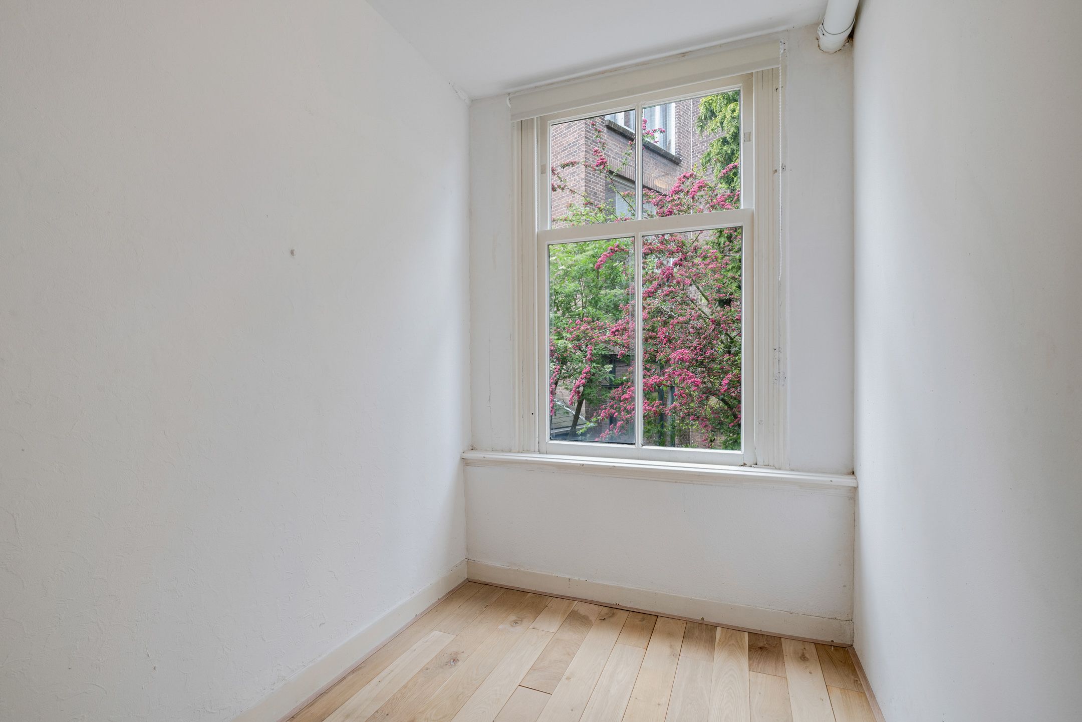 Photo 12 of Schieveenstraat 47-B