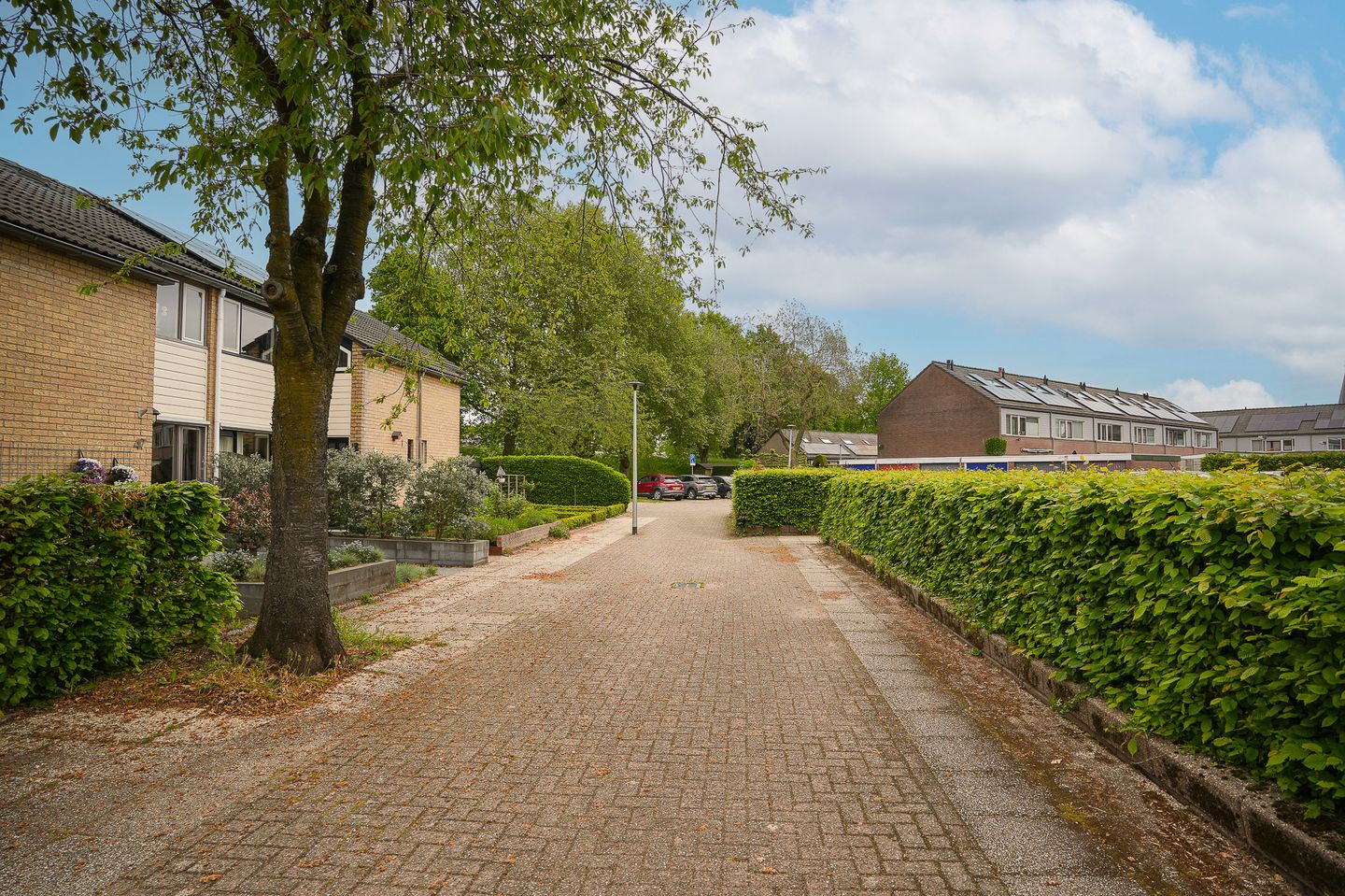 Photo 44 of Tollenhof 47