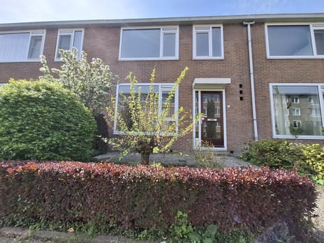 Mendelssohnstraat thumbnail