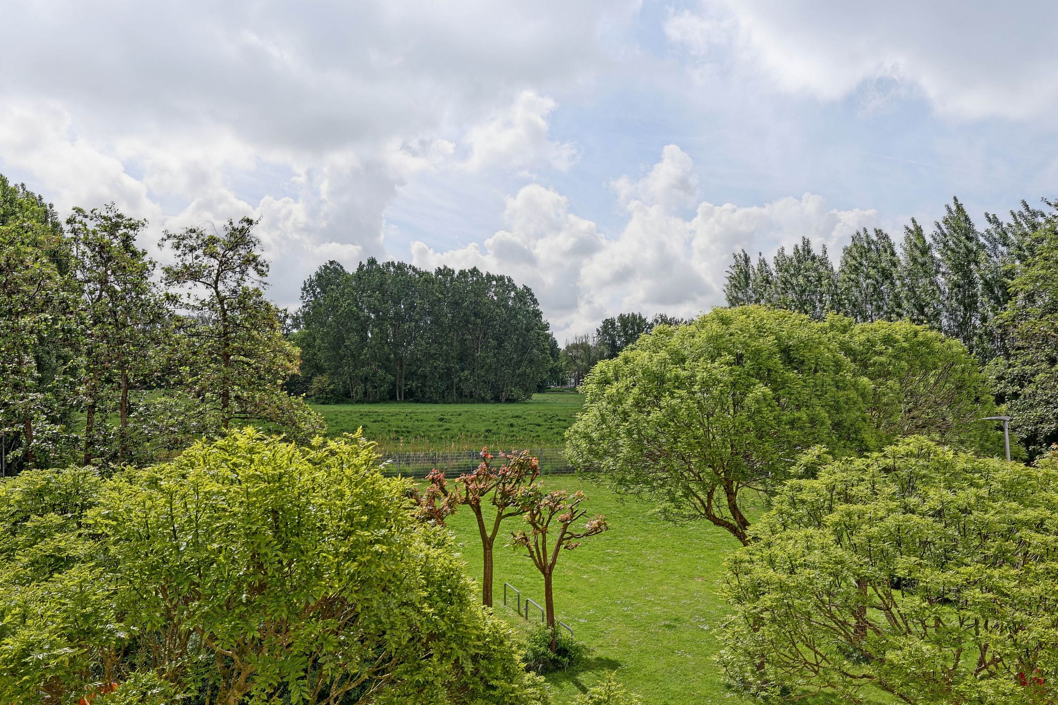 Photo 54 of Landjonker 37