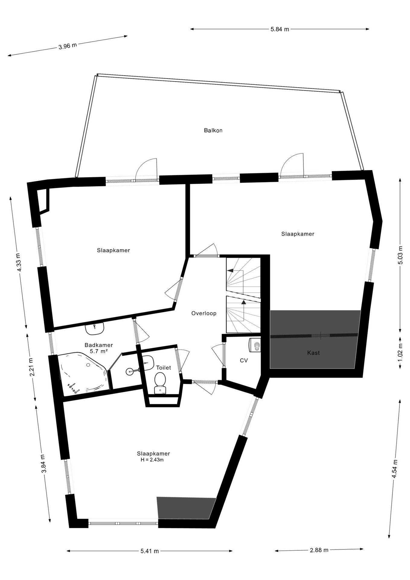 Foto 45 van Knobbelzwaan 2
