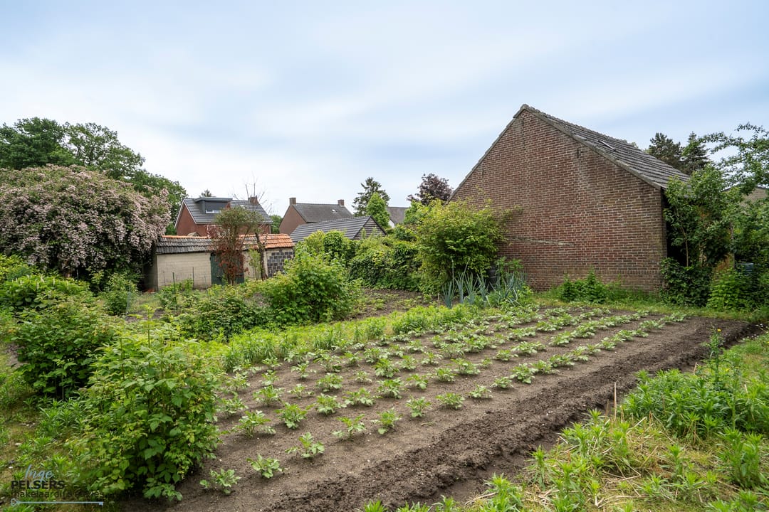 Photo 37 of Burgemeester Janssenstraat 7