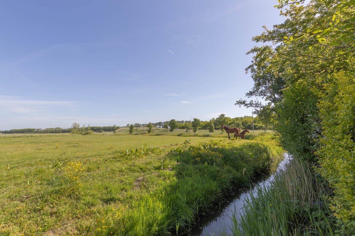 Photo 39 of Damweg 27