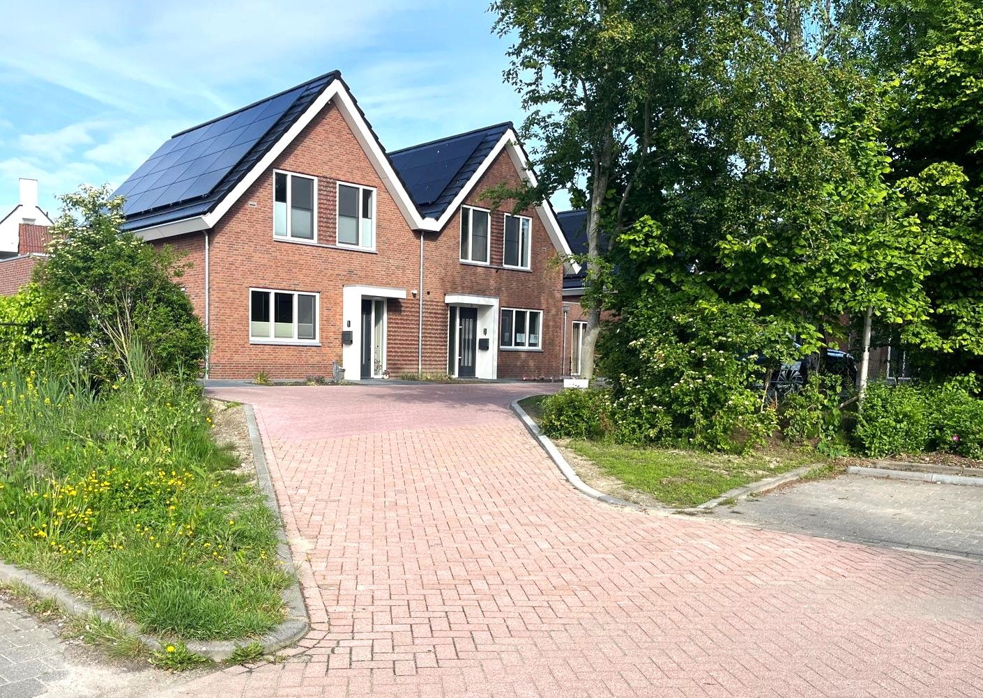Foto 3 van Uiver 3
