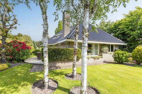 Duinweg thumbnail