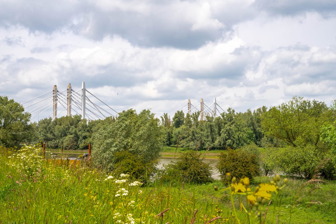 Photo 47 of Ingenieur van Stuivenbergweg 17