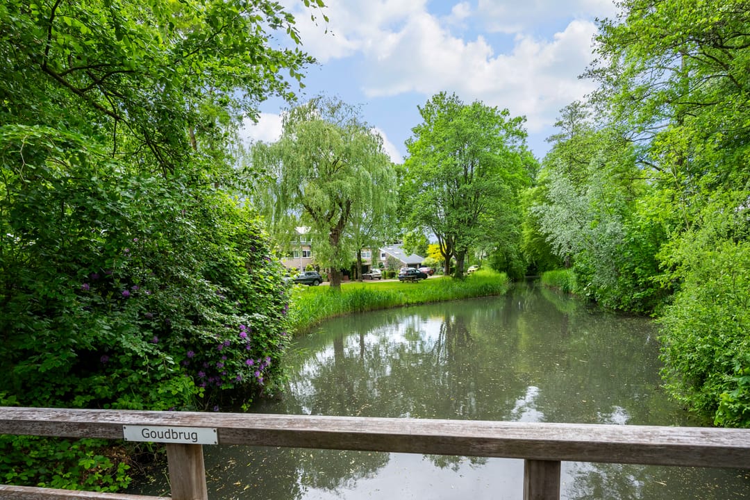 Photo 31 of Waterhoen 18