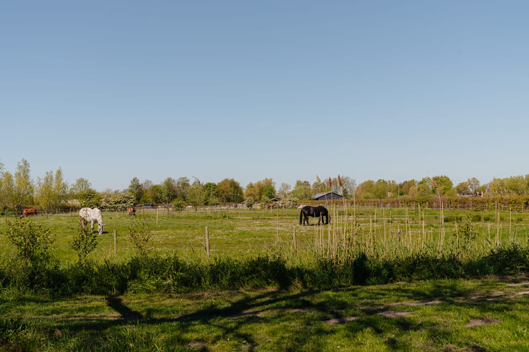 Photo 37 of Van Cralingenlaan 11