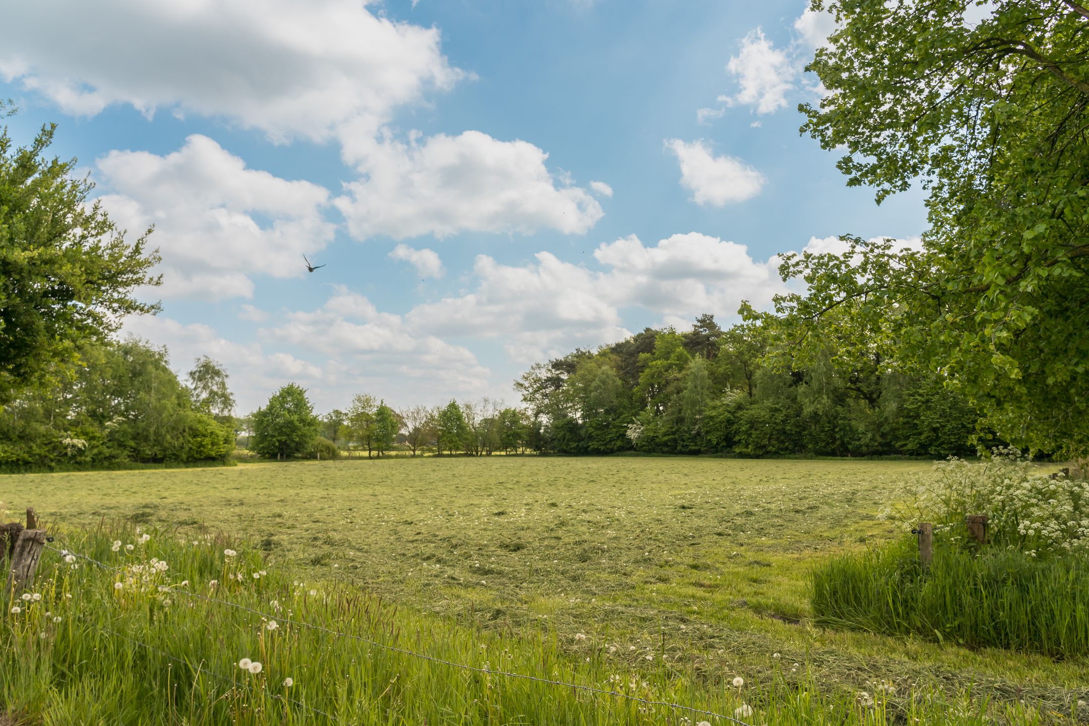 Photo 39 of Hogeboekelweg 87