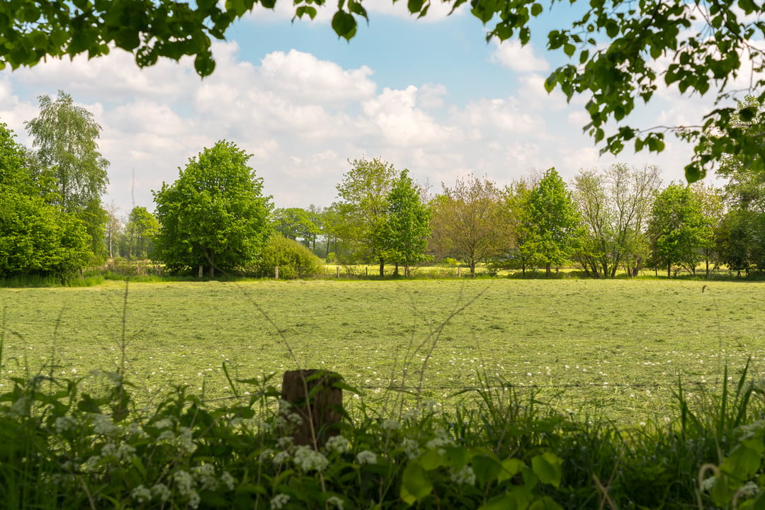 Photo 37 of Hogeboekelweg 87
