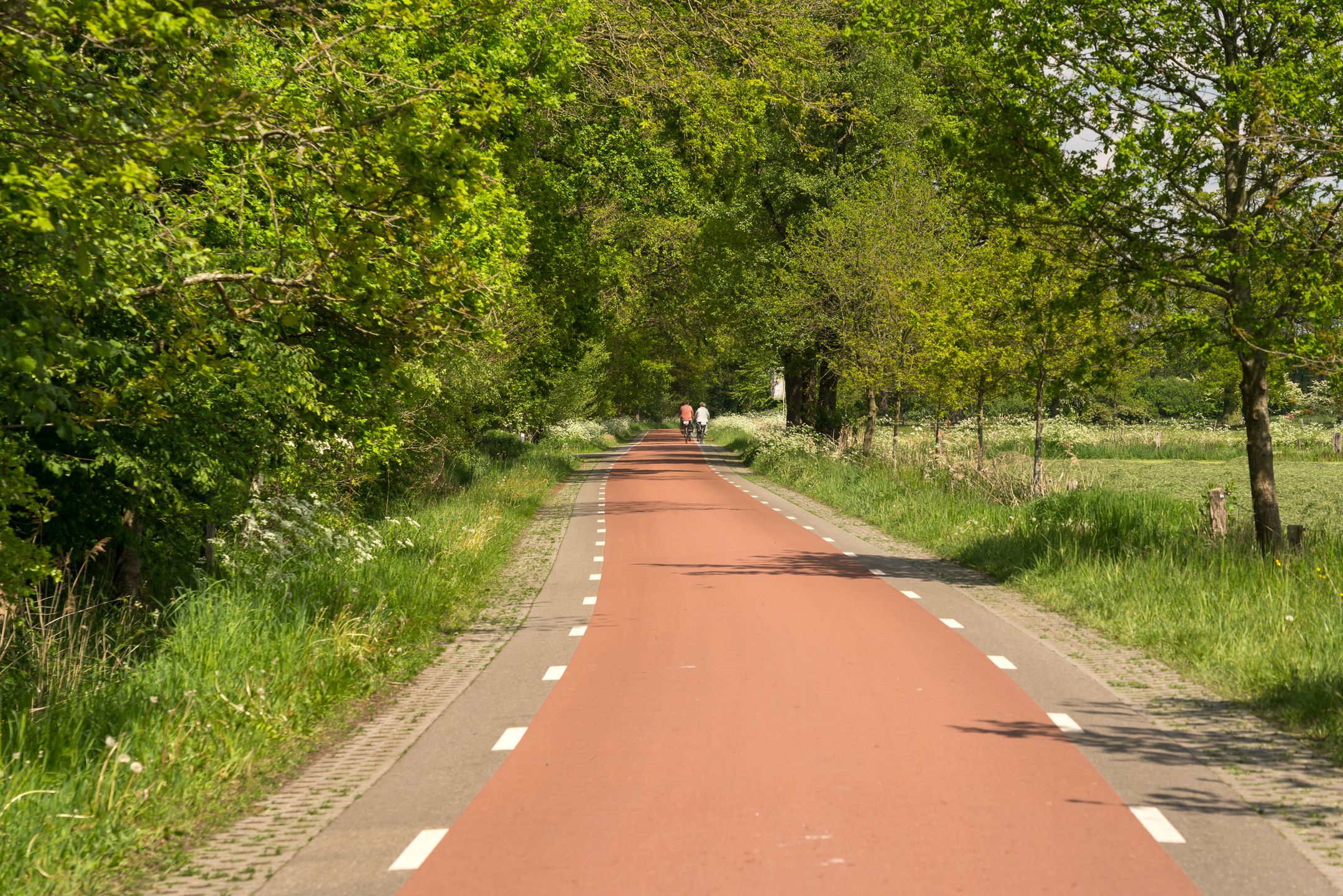 Photo 45 of Hogeboekelweg 87