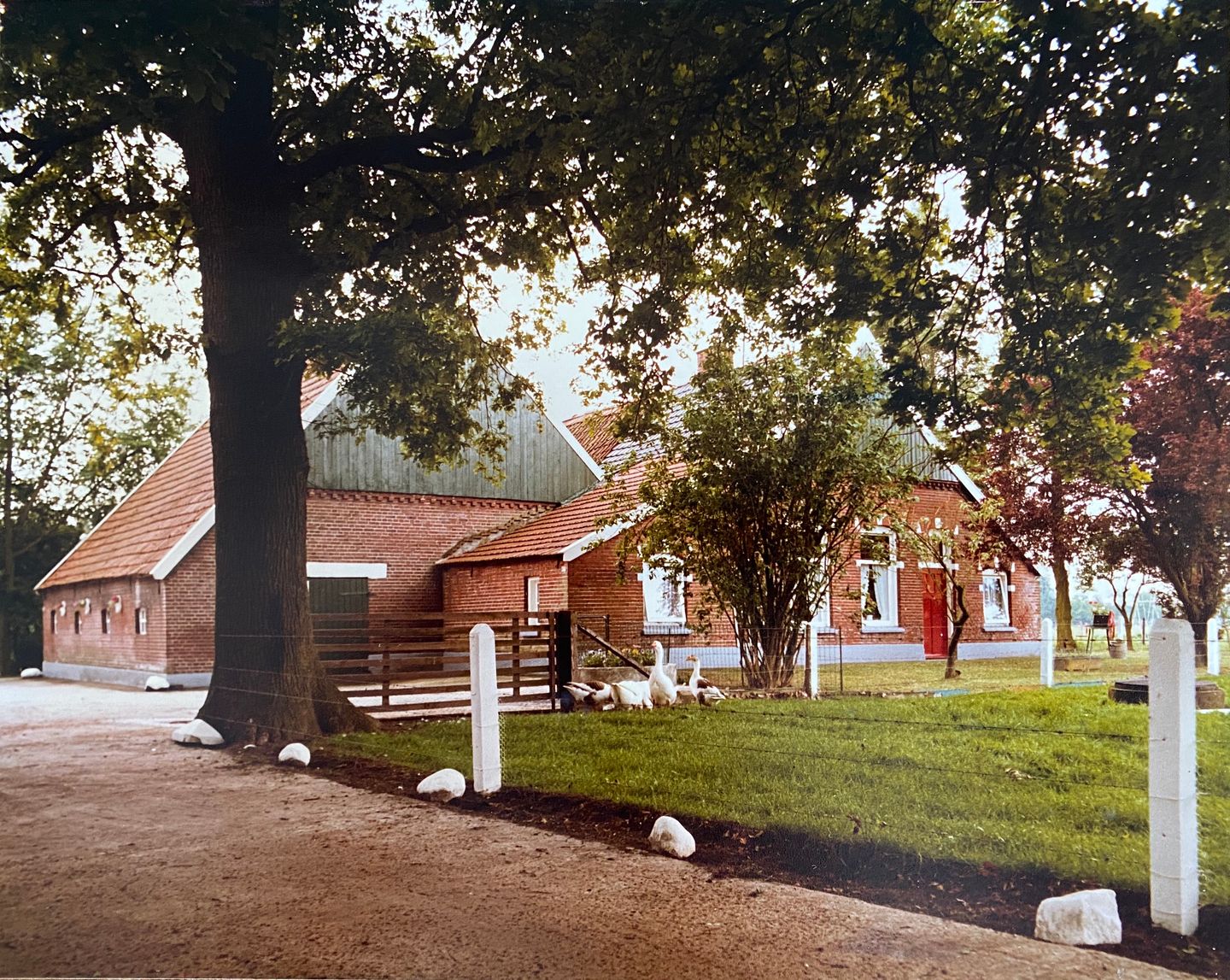 Hogeboekelweg 87 - Losser - Afbeelding 7