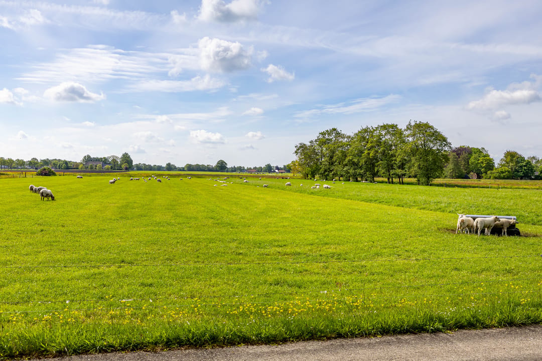 Photo 53 of Kleine Hoorn 18
