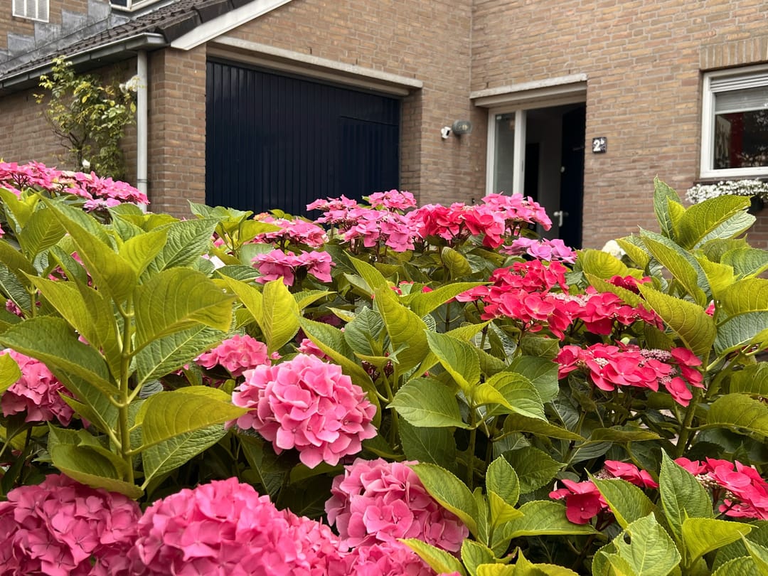 Photo 7 of Lijsterlaan 2-B