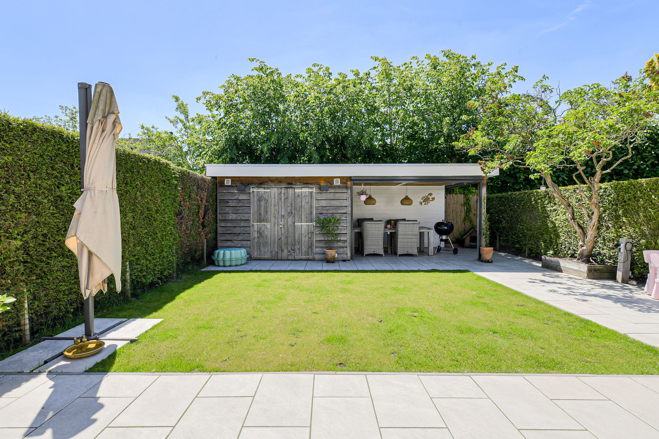 Foto 39 van Koolmees 26