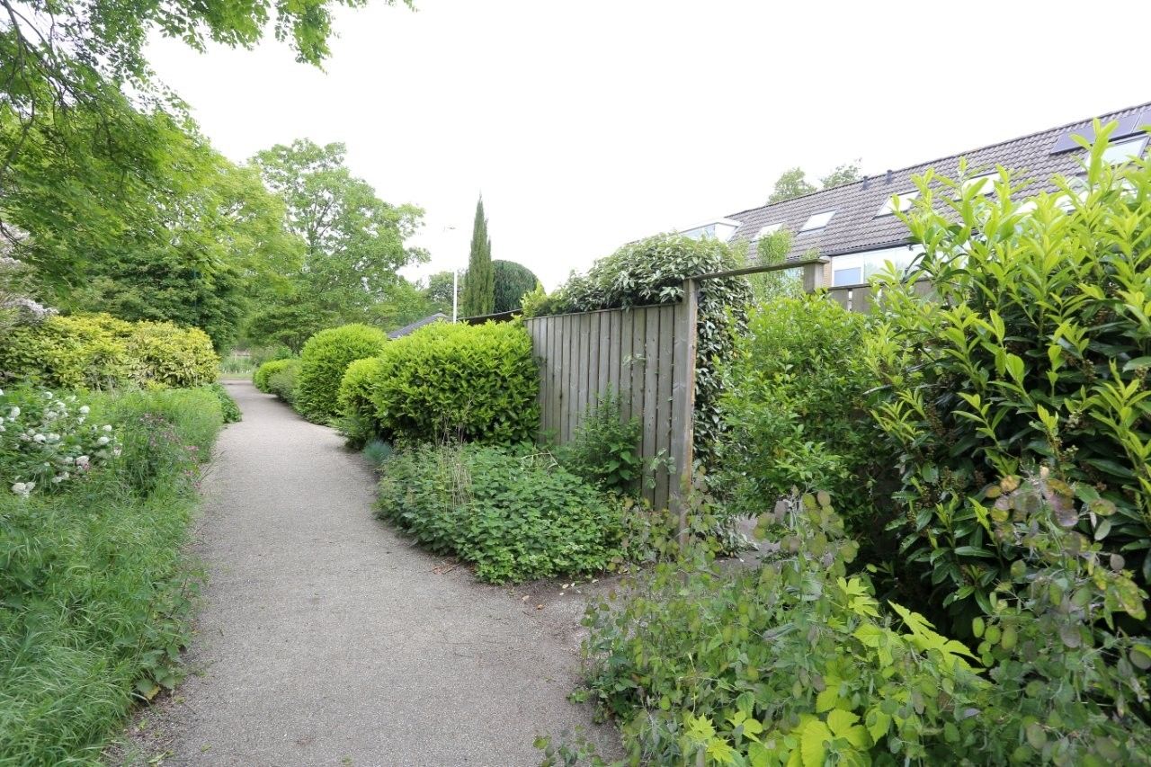 Photo 36 of Wildenborch 25