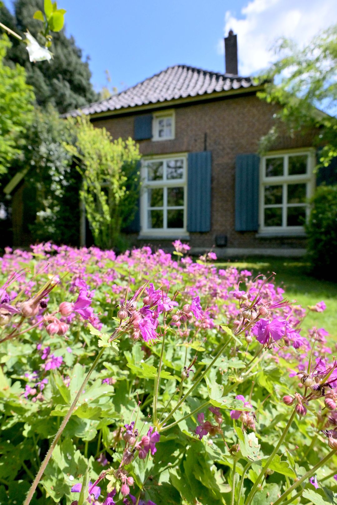 Foto 46 van Oude Meengatstraat 3
