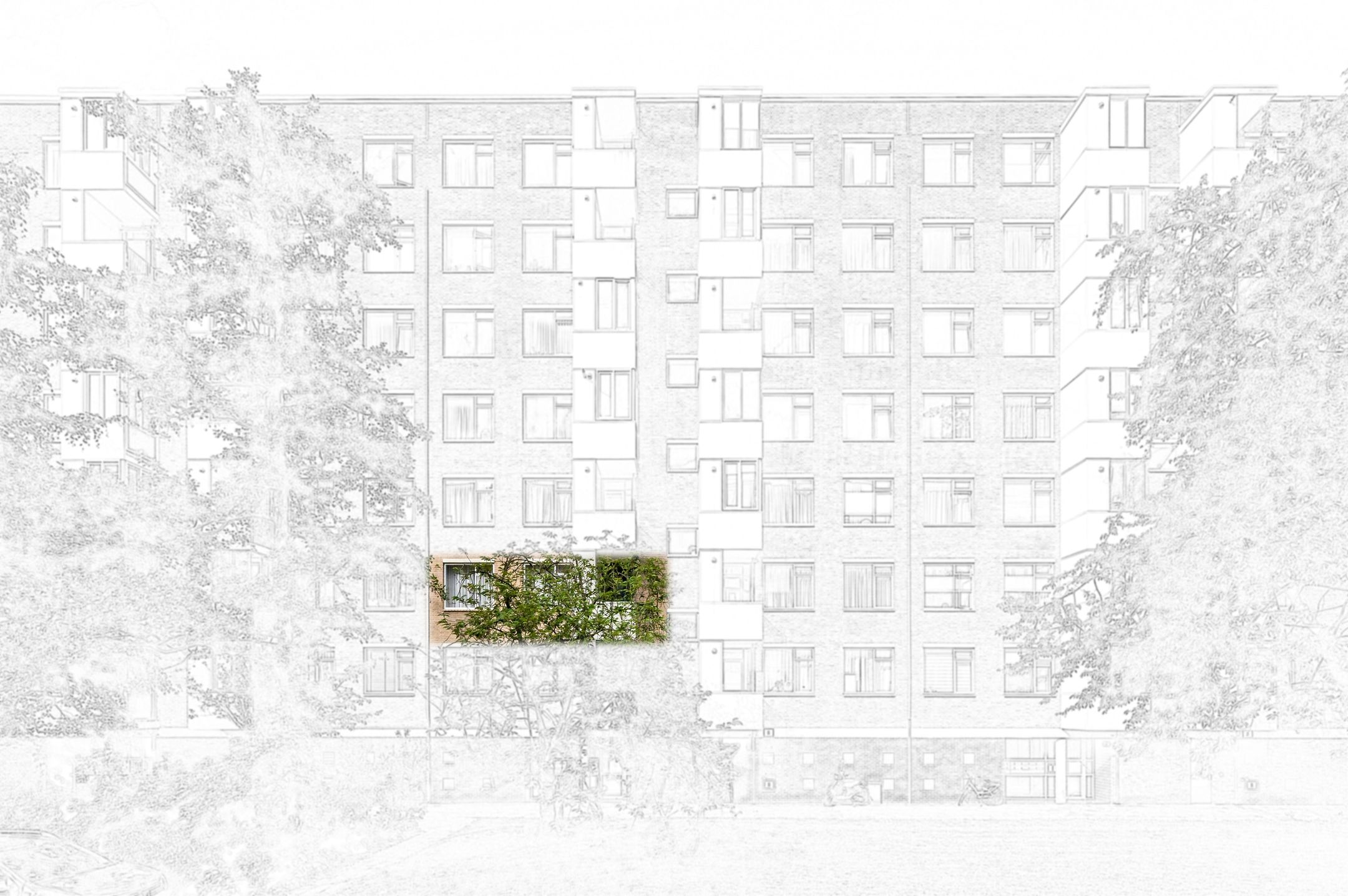Foto 6 van Vlaskamp 214