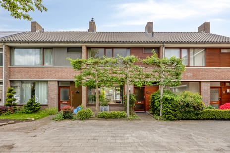 van Norenburchstraat thumbnail