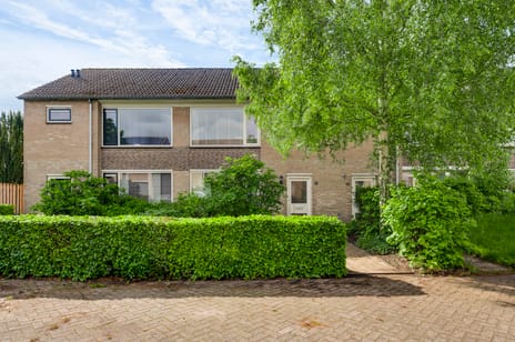 Libellestraat thumbnail