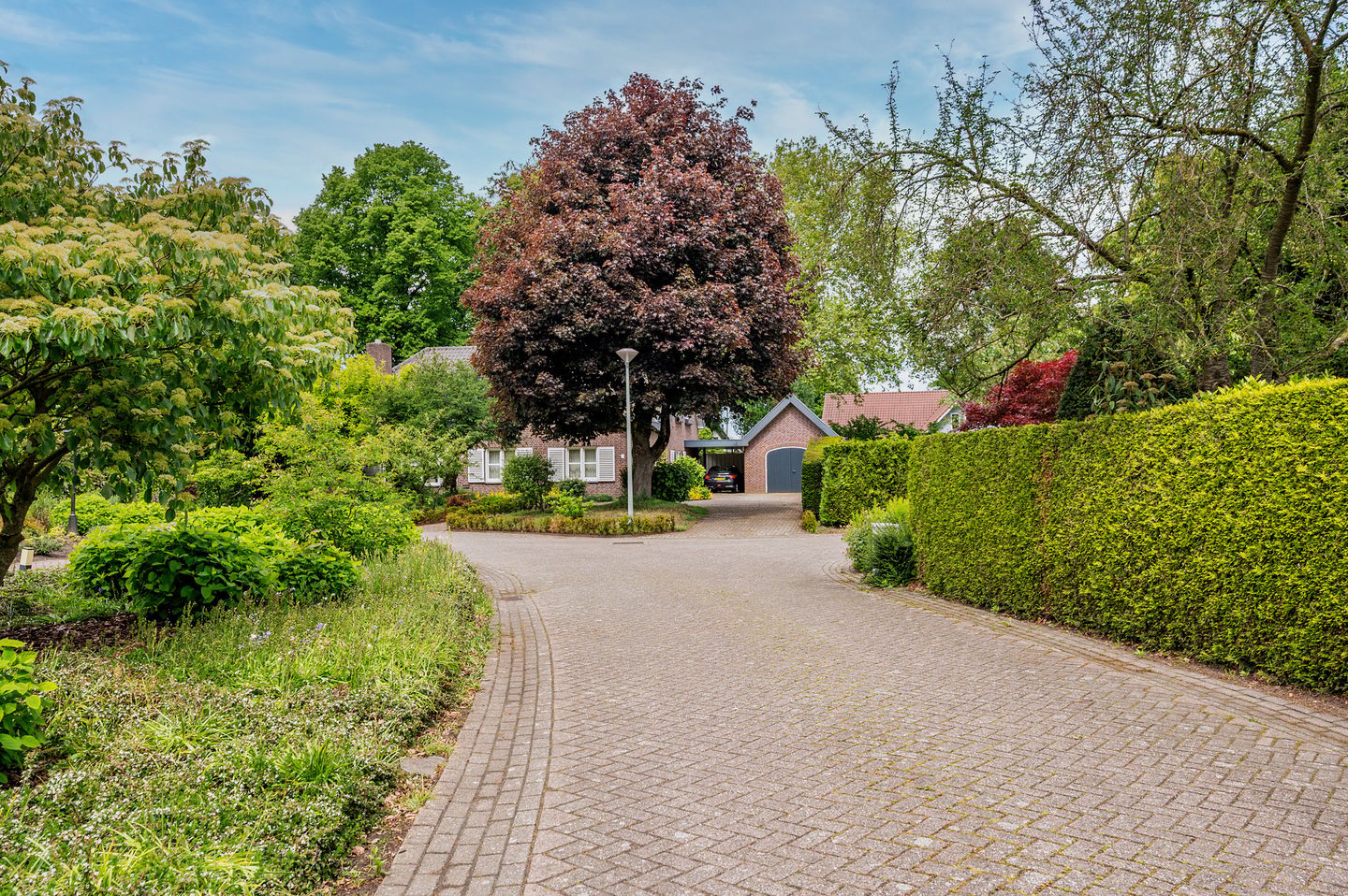 Photo 65 of De Wiers 8