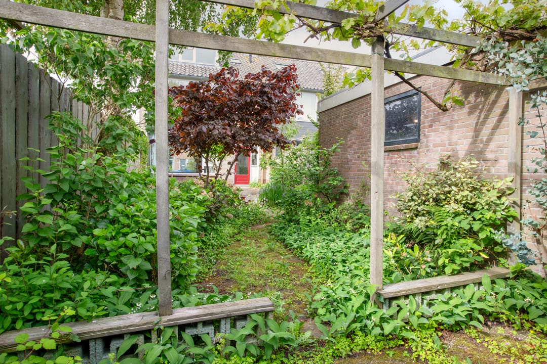 Foto 41 van Albert Schweitzerstraat 4