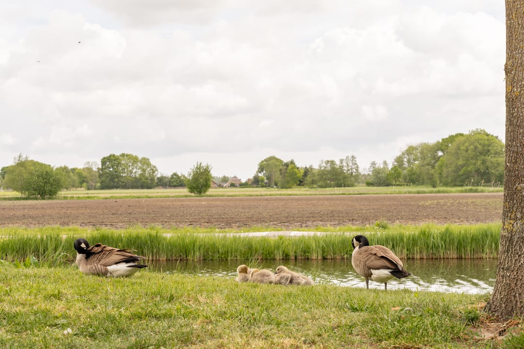 Foto 46 van Spakenburgkade 9