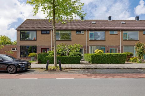 Frans Halsstraat thumbnail