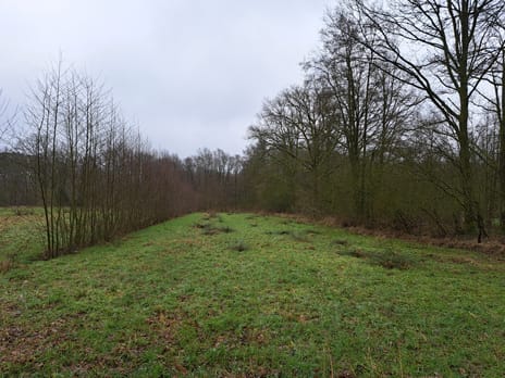 Bekijk foto's