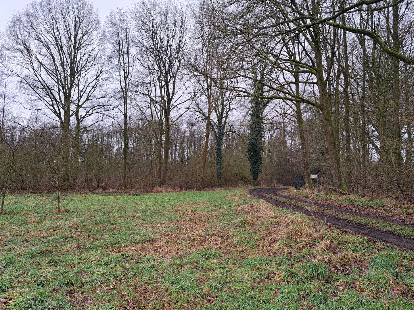 Bekijk foto 4 van nabij Grensweg