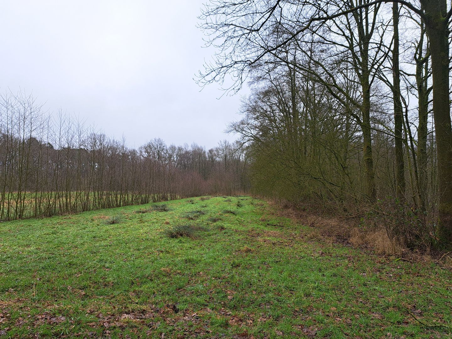 Bekijk foto 3 van nabij Grensweg