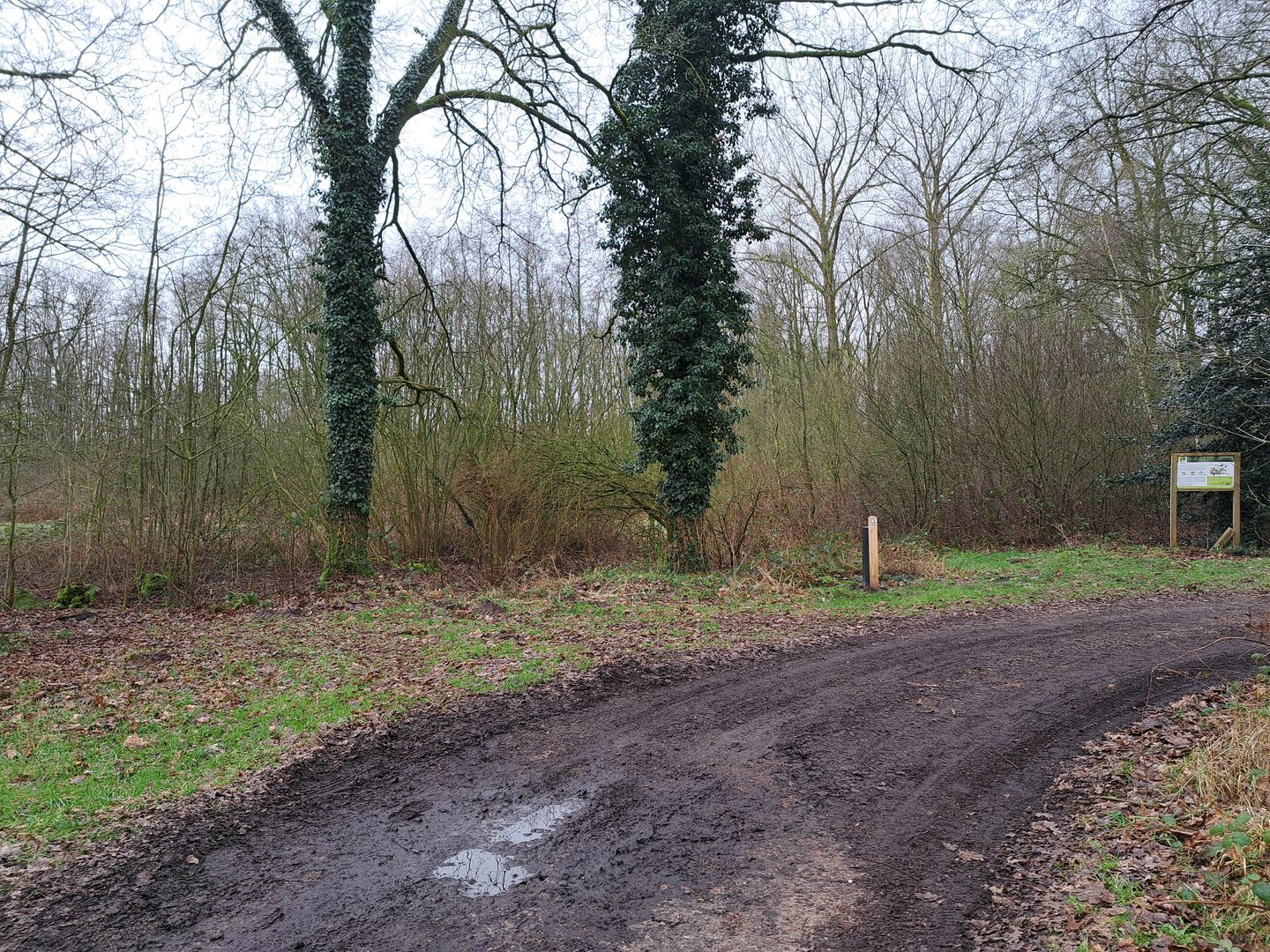 Bekijk foto 5 van nabij Grensweg