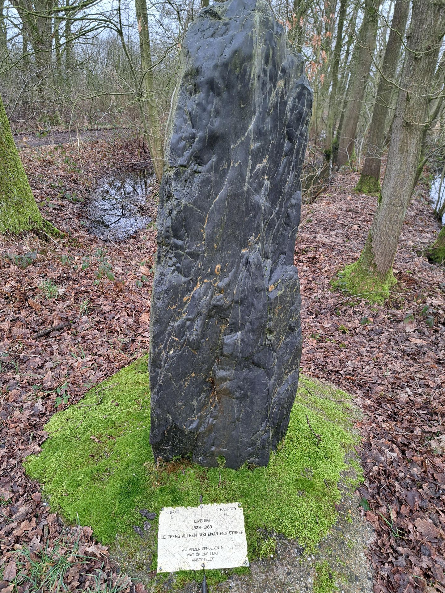nabij Grensweg - Stramproy - Afbeelding 7