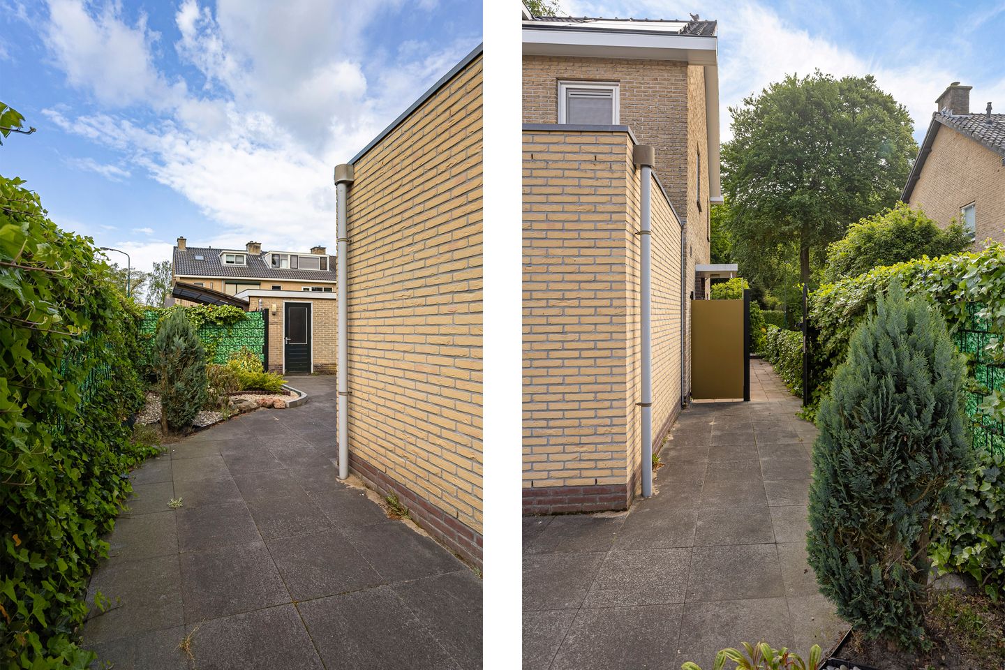 Photo 55 of Colenso 172