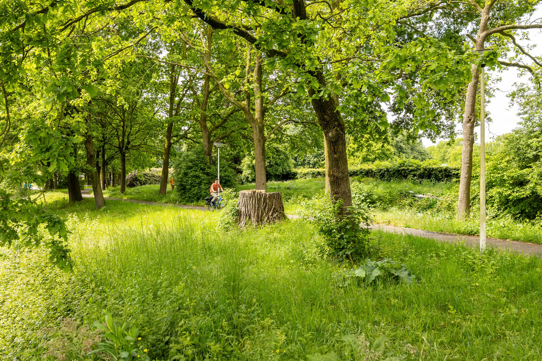 Foto 43 van Slangevecht 4