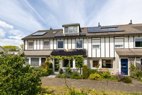 Slangevecht thumbnail