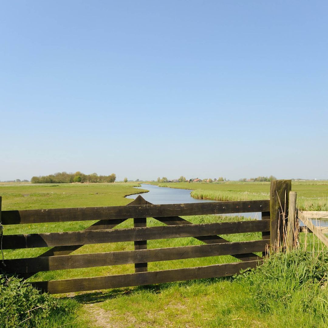 Photo 89 of Oudewal 46