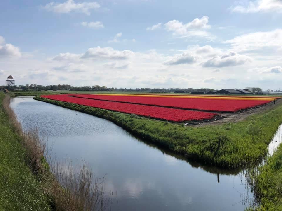 Photo 93 of Oudewal 46